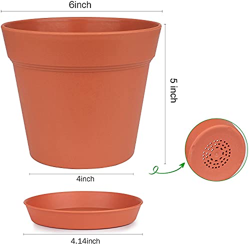 6 Inch Plastic Flower Pots with Drainage Holes and Trays (15 Count)