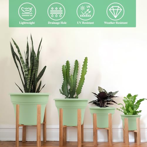 8 Inch Plastic (4 Count)