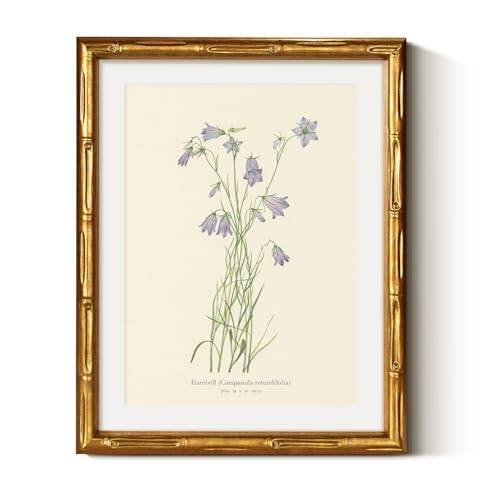 Gold Framed Bamboo Wall Art