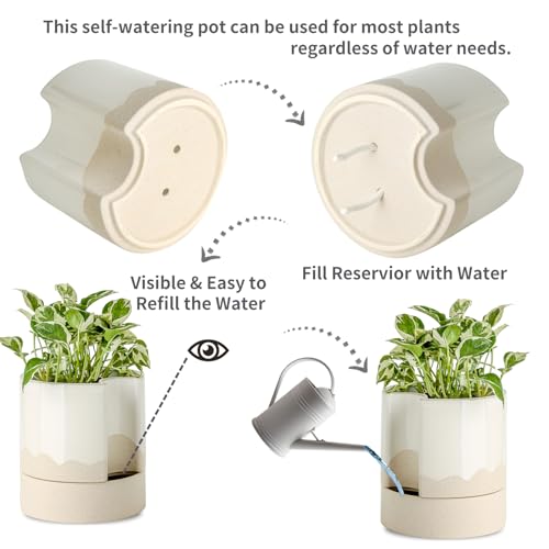 Ceramic Self Watering Plant Pot for Indoor Plants