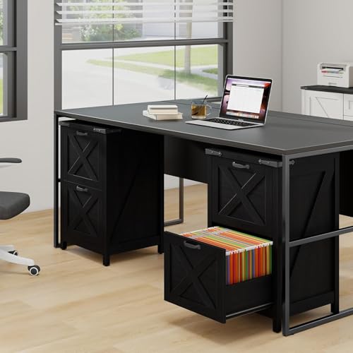 Vertical File Cabinet with 2 Drawers