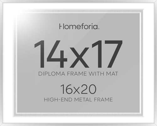 16x20 Silver Diploma Frame (2 Count)