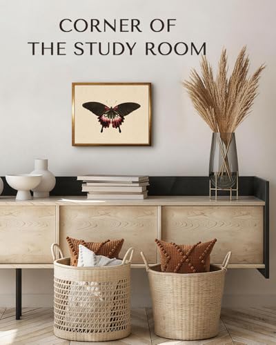 Vintage Black Pink Butterfly Framed Halloween Wall Art