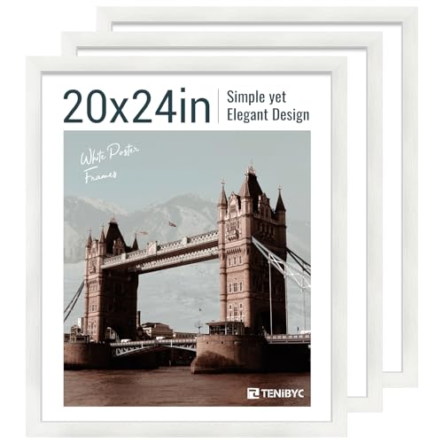 20x24 Picture Frame (3 Count)