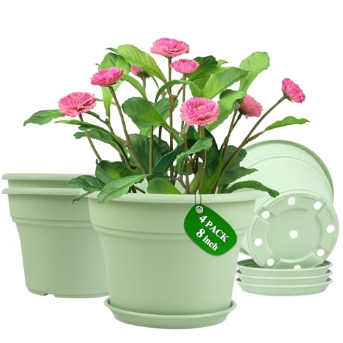8 Inch Plastic (4 Count)