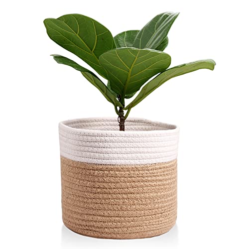 11" Cotton Rope Plant Basket Modern Woven Baskets 11"x 11"