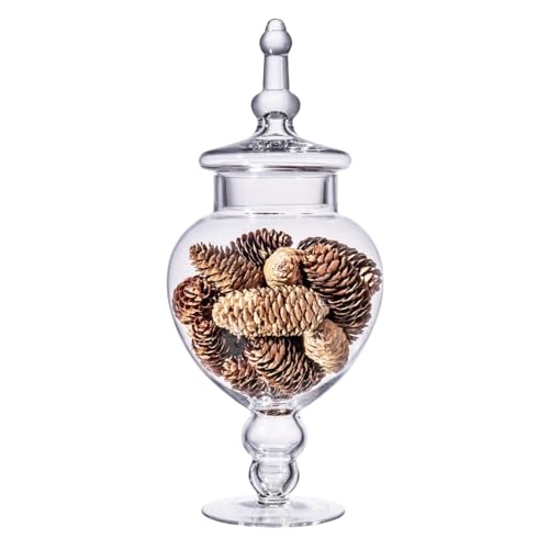 Large Glass Apothecary Jars with Lid
