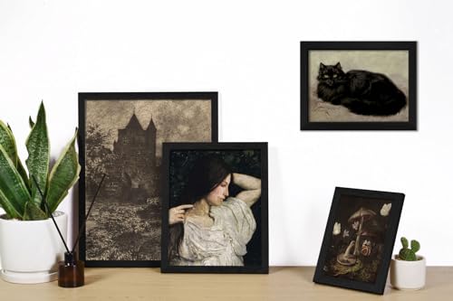 16 PCS Framed Dark Academia Room Decor (16 Count)