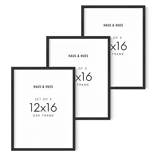 12x16 Black Oak Frame Set of 3 (3 Count)