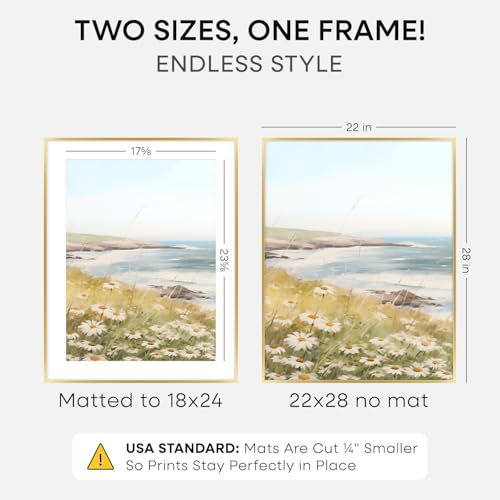 22x28 Gold Poster Frame