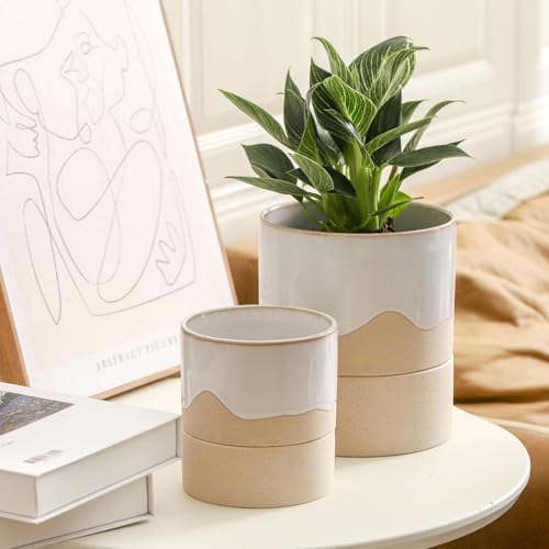 Self Watering Plant Pot