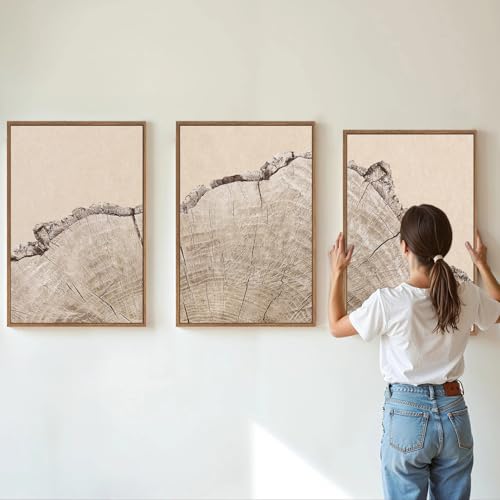 Large Tree Ring Framed Canvas Wall Art Set (3 Count)