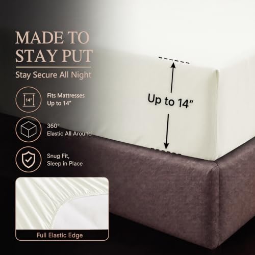 King Size Comforter Set Ivory