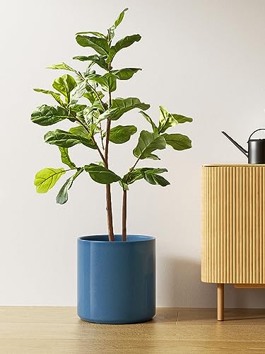 12 Inch Pot for Plants