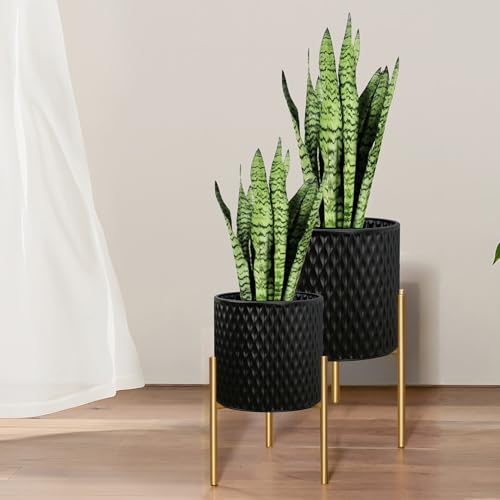 Plants Pots with Stand (2 Count)