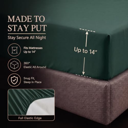 King Comforter Set Forest Green