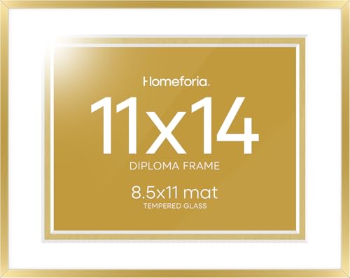 11x14 Gold Diploma Frame (3 Count)