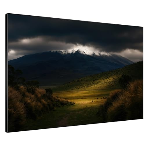 36"x46" Extra Large Framed Wall Art Majestic Snow