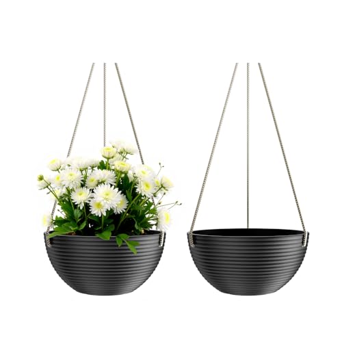 2 Pack Hanging Planter (2 Count)