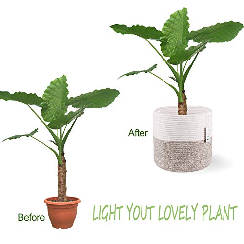 Woven Cotton Rope Plant Basket for 11 Pot