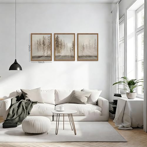 Framed Forest Wall Art Set of 3