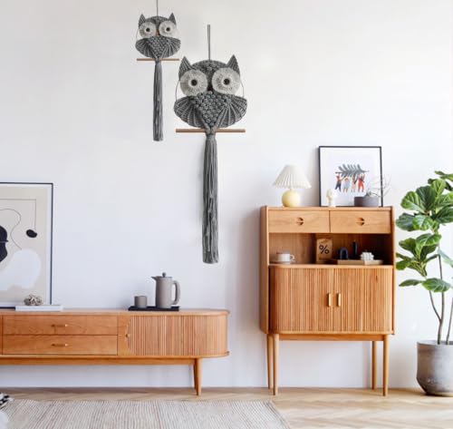 Owl Macrame Wall Hanging
