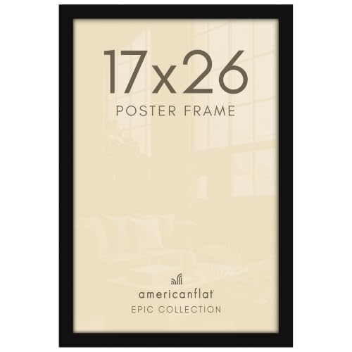 17x26 Poster Frame