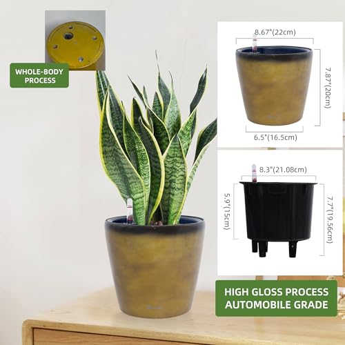 9x8 Self Watering Planter