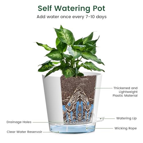 6 inch Self Watering Pots for Indoor Outdoor Plants (6 Count)