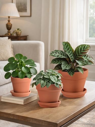 Terracotta Pots Set with Saucer (3 Count)