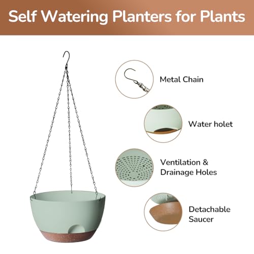 Hanging Planter for Indoor Plants (2 Count)