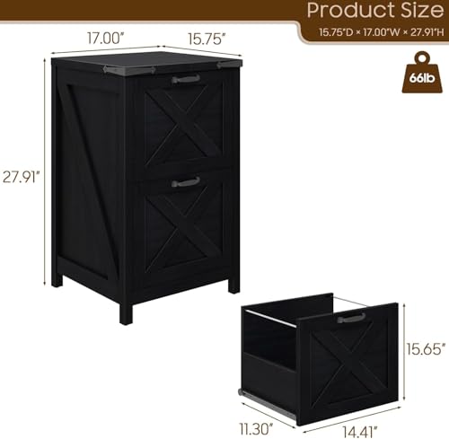 Vertical File Cabinet with 2 Drawers