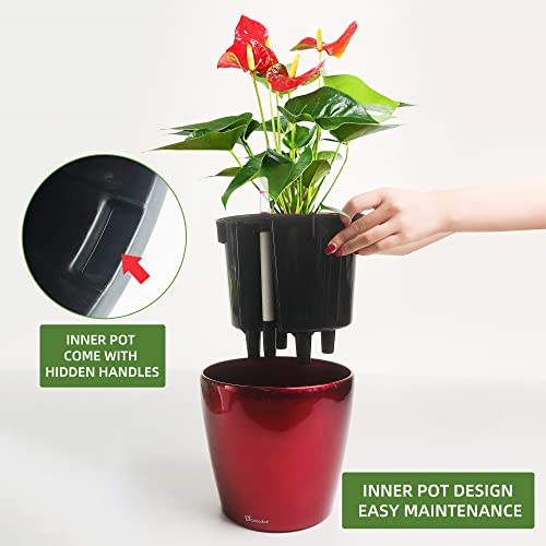 9x8 Self Watering Planter