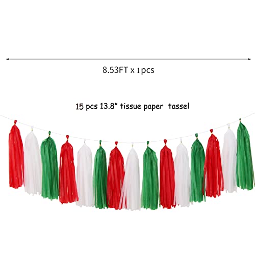 Red Green White Christmas Party (15 Count)