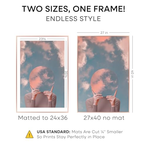 27x40 Rose Poster Frame