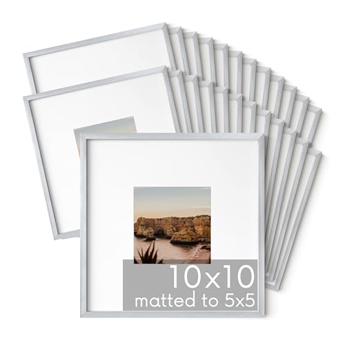 10x10 Silver Metal Picture Frames Matted to 5x5