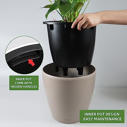 13x12 Self Watering Planter with Wheels