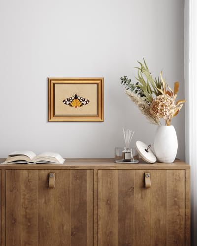 Vintage Gold Framed Wall Art for Living Room