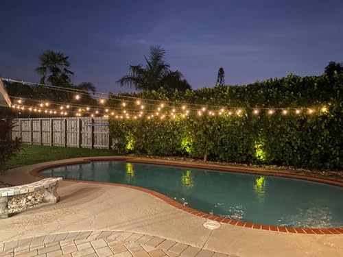 Ambience Pro Solar Powered Outdoor String Lights (48 Foot)