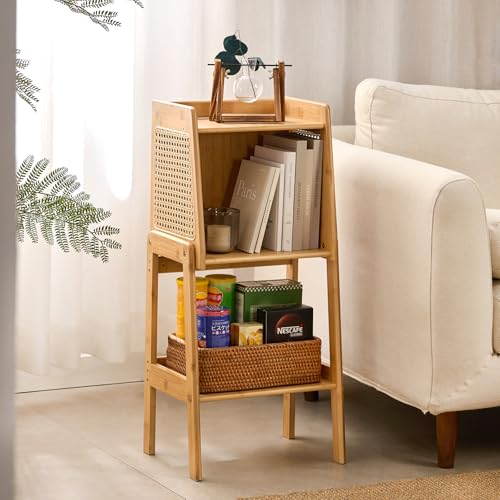 Bamboo Rattan Bookcase with Cabinet