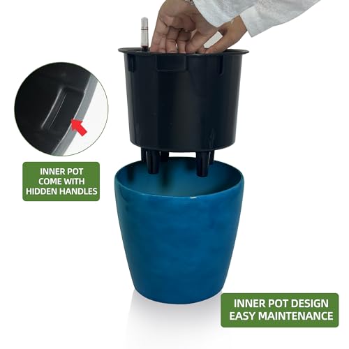 9x8 Self Watering Planter