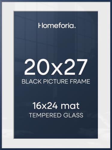 20x27 Blue Picture Frame (2 Count)