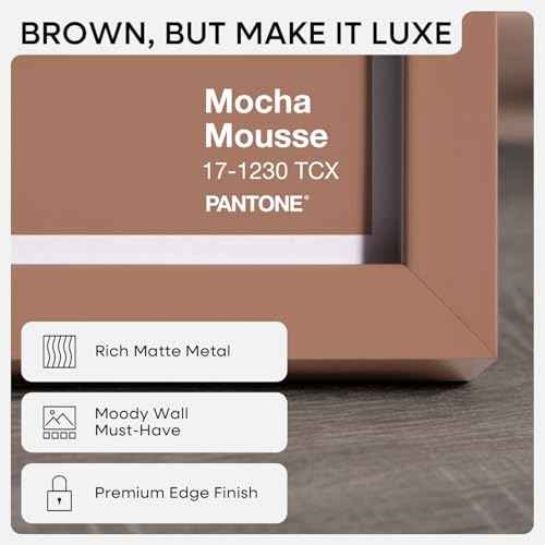 17x22 Mocha Picture Frame (2 Count)