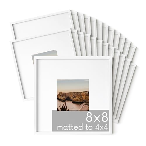 8x8 White Metal Picture Frames Matted to 4x4