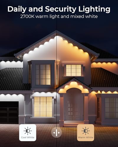 Permanent Outdoor Lights Pro 100ft (100 Foot)