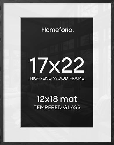 17x22 Black Oak Picture Frame (2 Count)