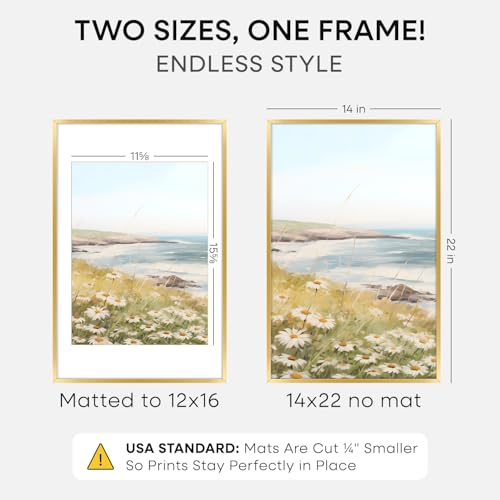 14x22 Gold Picture Frame