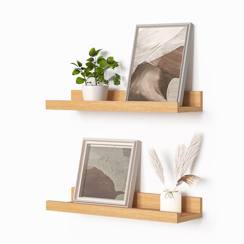 Picture Ledge Shelf (2 Count)