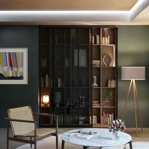 Glass Room Divider and Sliding Glass Closet Doors