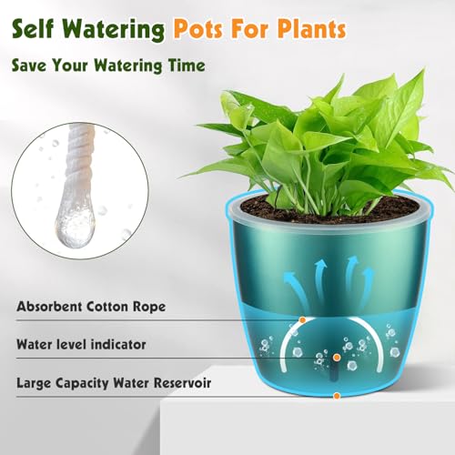 Self Watering Pots for Indoor Plants (6 Count)